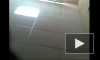 В Приморье проверяют видео с нецензурной бранью полковника полиции на подчиненного