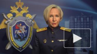 СК возбудил дело о призывах к участию несовершеннолетних в акции 23 января