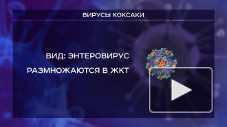 В Россию всё больше возвращается заражённых туристов