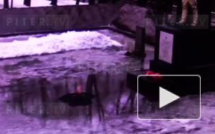 Появилось видео угасания Вечного огня в Красном Селе из-за потопа