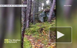 Видео: В Квебеке сняли как "дышит" почва 