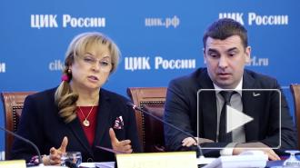 ЦИК гарантирует полный контроль голосования по Конституции на дому