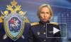 Адвокат сообщил о "неустановленных лицах" в деле Ивана Голунова 
