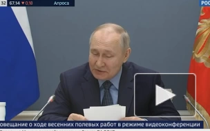 Путин заявил, что Россия увеличила экспорт в сельском хозяйстве