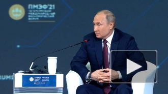 Путин заявил, что в вопросе поддержки экономики Россия делает ставку на здравый смысл 