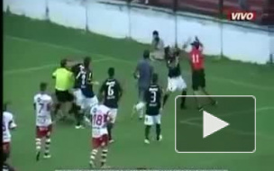 Видео: Фанат напал на игроков своей команды