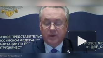 Лукашевич оценил встречу сторонников Навального с представителями НАТО