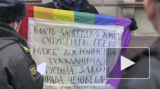Возмущенные секс-меньшинства пикетировали Законодательное собрание Петербурга