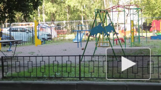 В Ленобласти 51-летний извращенец изнасиловал 11-летнюю девочку