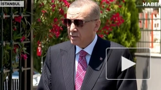 Эрдоган заявил о работе над организацией переговоров с Путиным