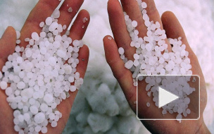 Смольный подыскивает новое место для швейцарского завода реагентов