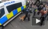 На митингующих против вакцинации в Британии спустили собак