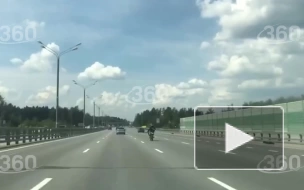 Мотоциклист закинул ногу на ногу и на полной скорости проехался по Минскому шоссе