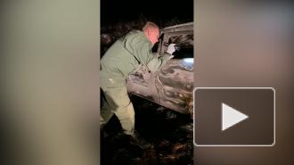 Соседи рассказали об убийстве семьи в Подмосковье