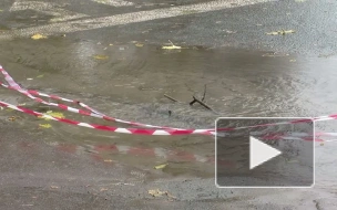 На перекрёстке Кронверского проспекта и Большой Монетной прорвало трубу