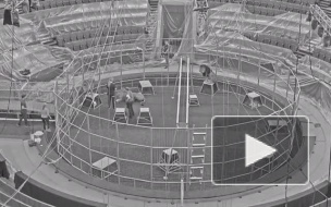 Во время репетиции циркового фестиваля "ИДОЛ 2018" лев напал на дрессировщика