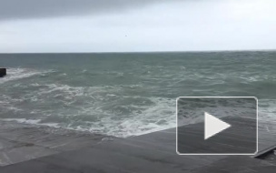 Осторожно, петербуржец: вечером воскресенья город накроет штормовой ветер