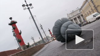 В Петербурге ураган сорвал часть кровли Петропавловки и свалил новогоднюю ёлку