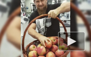 Тимати принял приглашение Рамзана Кадырова на яблочный пирог