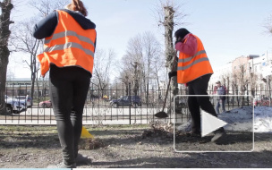 Видео: Мастер отдела очистки МУП "Комбинат благоустройства" прокомментировал весеннюю уборку в парках Выборга