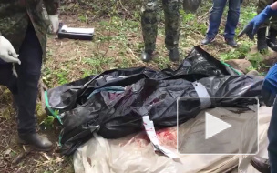 Полиция задержала подозреваемого в убийстве 66-летней жительницы Ленобласти