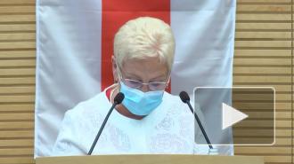 Сейм Литвы принял резолюцию о непризнании выборов в Белоруссии