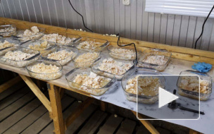 Полиция ликвидировала под Хабаровском крупнейшую в истории Хабаровского края нарколабораторию