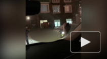 В Мурино жители заметили бегавшего по двору обнаженного мужчину