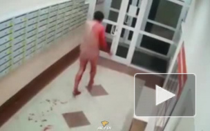 Жуткое видео: в квартире в Новосибирске голые мужчины устроили поножовщину  