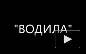 Водила Водила