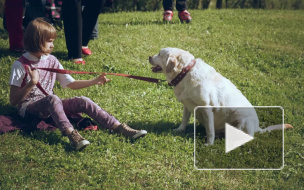 Кошки и собаки Петербурга устроили пушистую феерию в Муринском парке