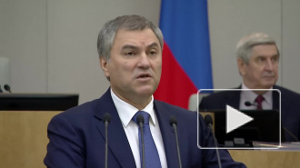 Володин ответил на призыв объявить Курилы японской территорией