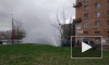 На проспекте Энергетиков из-под земли забил фонтан (видео) 