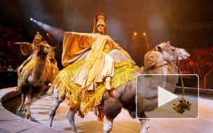 Зрителей приманили Запашными, но братья в шоу "Заклинатель" не появились