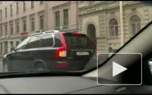 Видео: по Петербургу в Курбан-Байрам бегал недорезанный баран