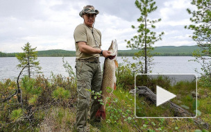 Песков рассказал, чем Путин занимается в свободное время