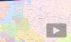 В Смоленске стая собак загрызла женщину