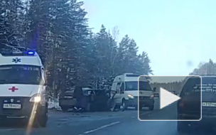 ДТП в Петербурге: на 125 км Скандинавии столкнулись две легковушки