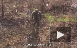 Саперы "Юга" обезвредили порядка 14 видов взрывных устройств в ДНР