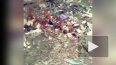 Видео стихийной свалки в центре Владикавказа повергло ...
