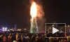 Зажгли на Новый год: в  Южно-Сахалинске сгорела елка на центральной площади