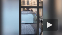 Милонова не пустили в чисто женскую кофейню в Петербурге