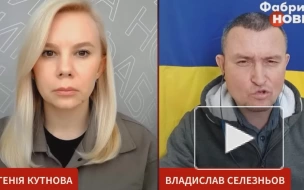 "Все земли": украинский полковник сделал отчаянное заявление