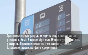 Безработный петербуржец обчистил китайскую туристку на вокзале