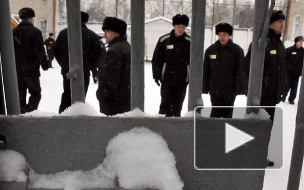 Амнистия к 70-летию Победы: какие статьи попадают под амнистию в 2015 году