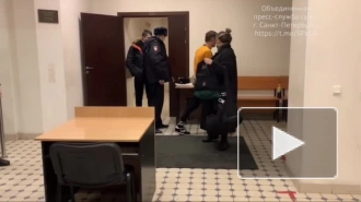 Солиста группы "Щенки" арестовали после концерта в Петербурге