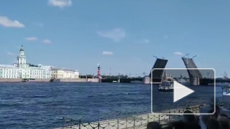 Путин примет Главный военно-морской парад в акватории Невы 