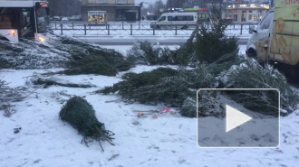 В Петербурге после Нового года остались брошенные елочные базары с ненужными деревьями