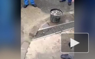 Оригинальное видео из Сочи: местные жители порыбачили на тротуаре