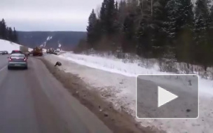 Видео жуткого ДТП, унесшего три молодые жизни в Пермском крае